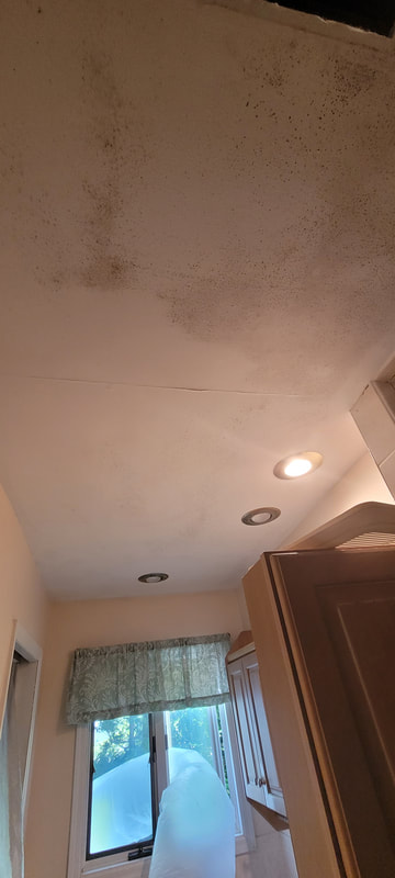 Bathroom ceiling mold removal 