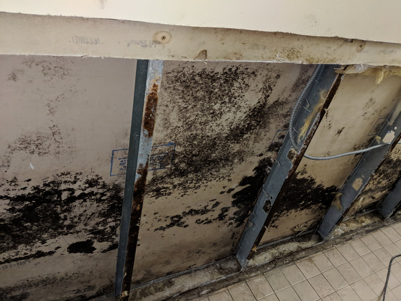 Black mold after water leak not treated the right way