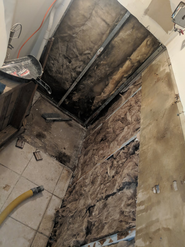 Bathroom remodeling and found mold